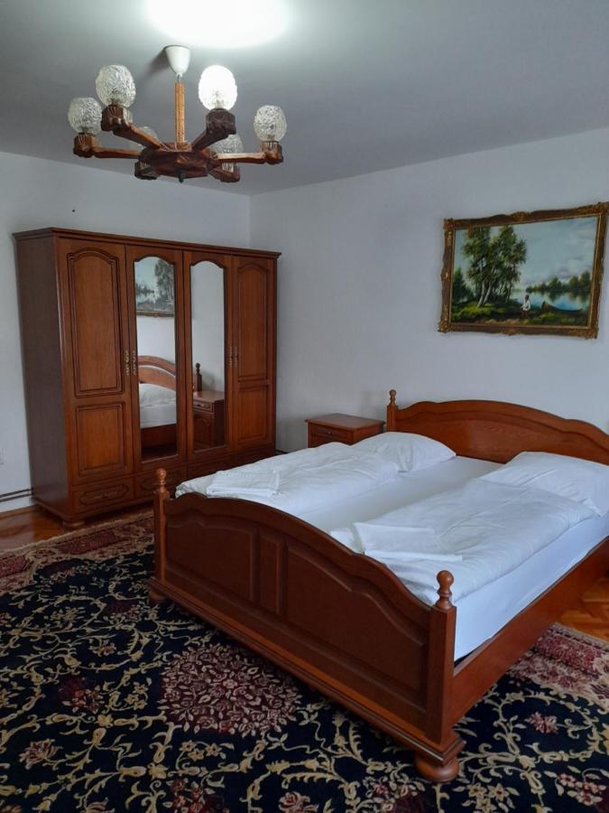 Casa Miki Hotel Haţeg Buitenkant foto