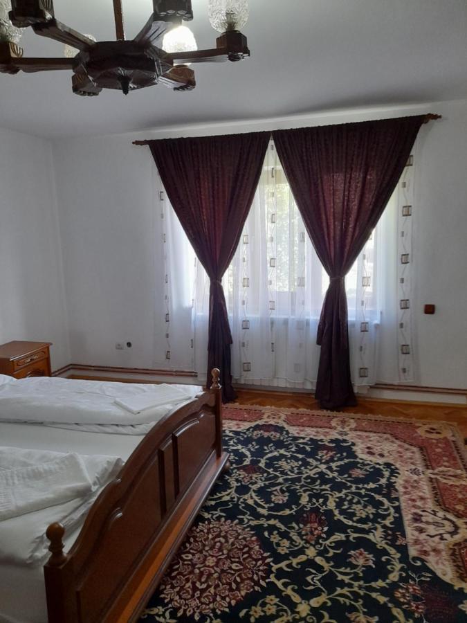 Casa Miki Hotel Haţeg Buitenkant foto