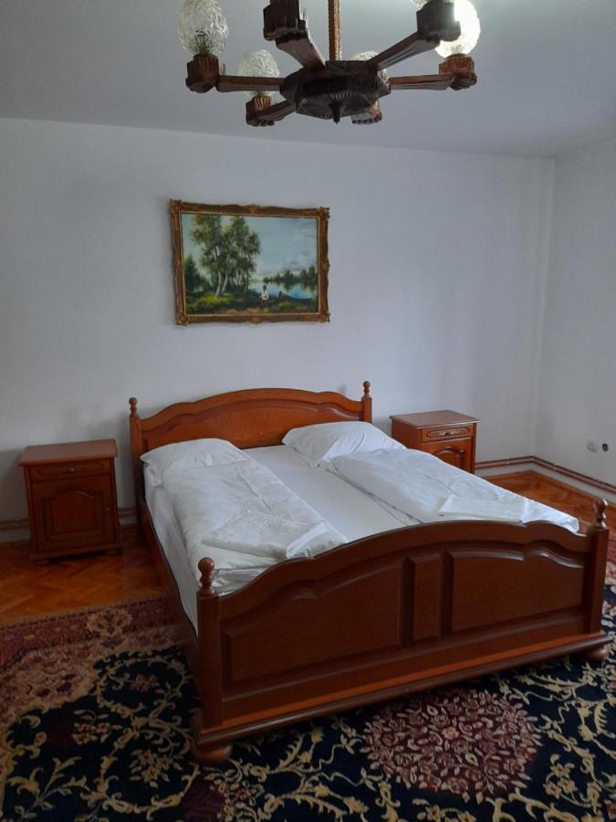 Casa Miki Hotel Haţeg Buitenkant foto