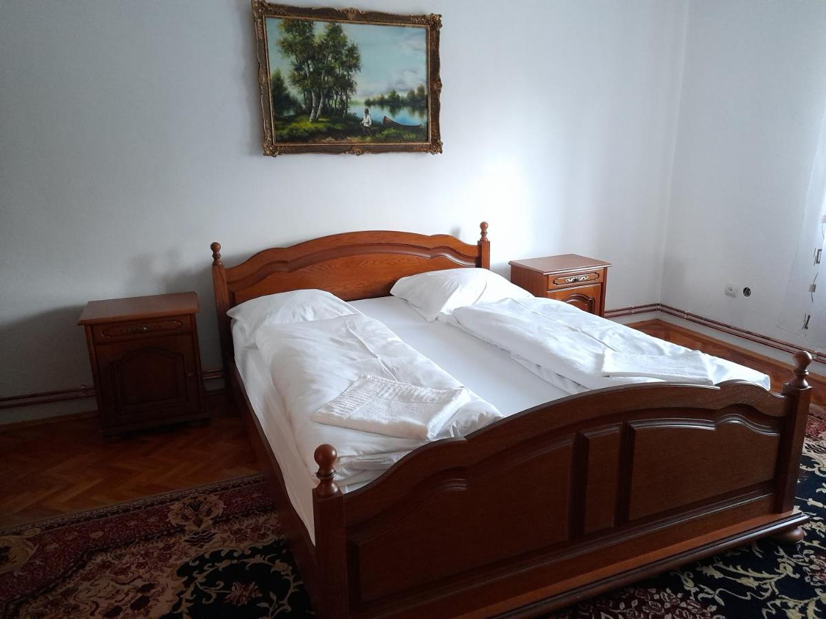 Casa Miki Hotel Haţeg Buitenkant foto