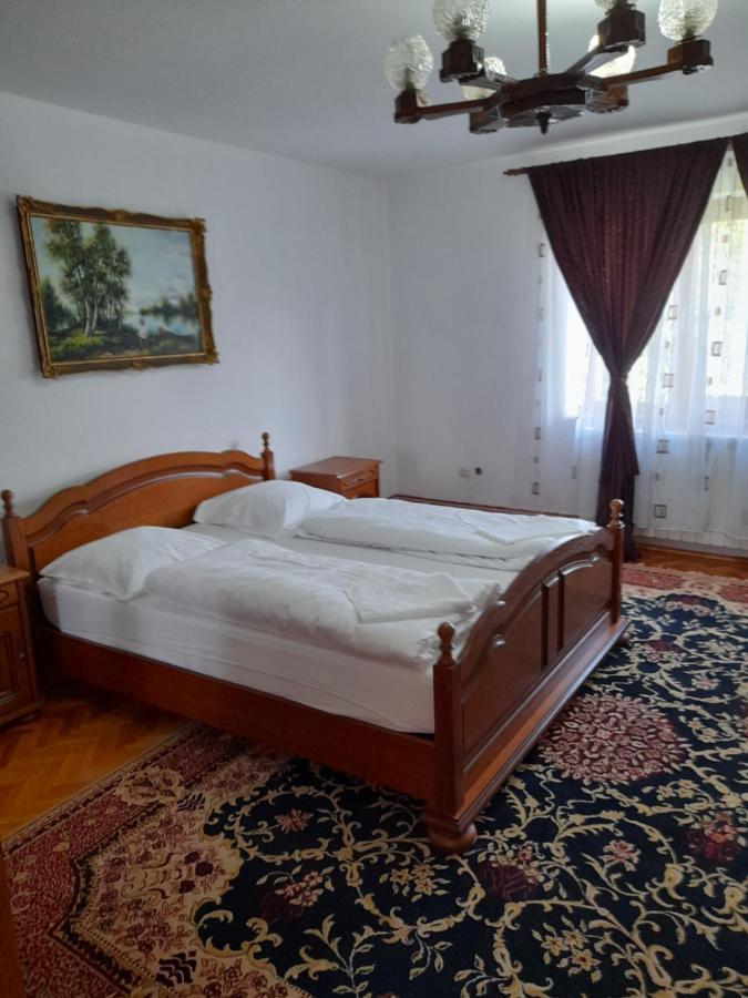 Casa Miki Hotel Haţeg Buitenkant foto