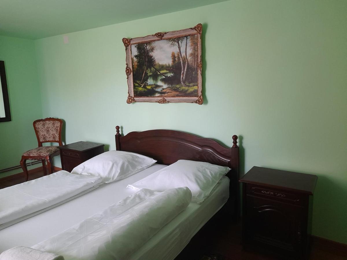 Casa Miki Hotel Haţeg Buitenkant foto