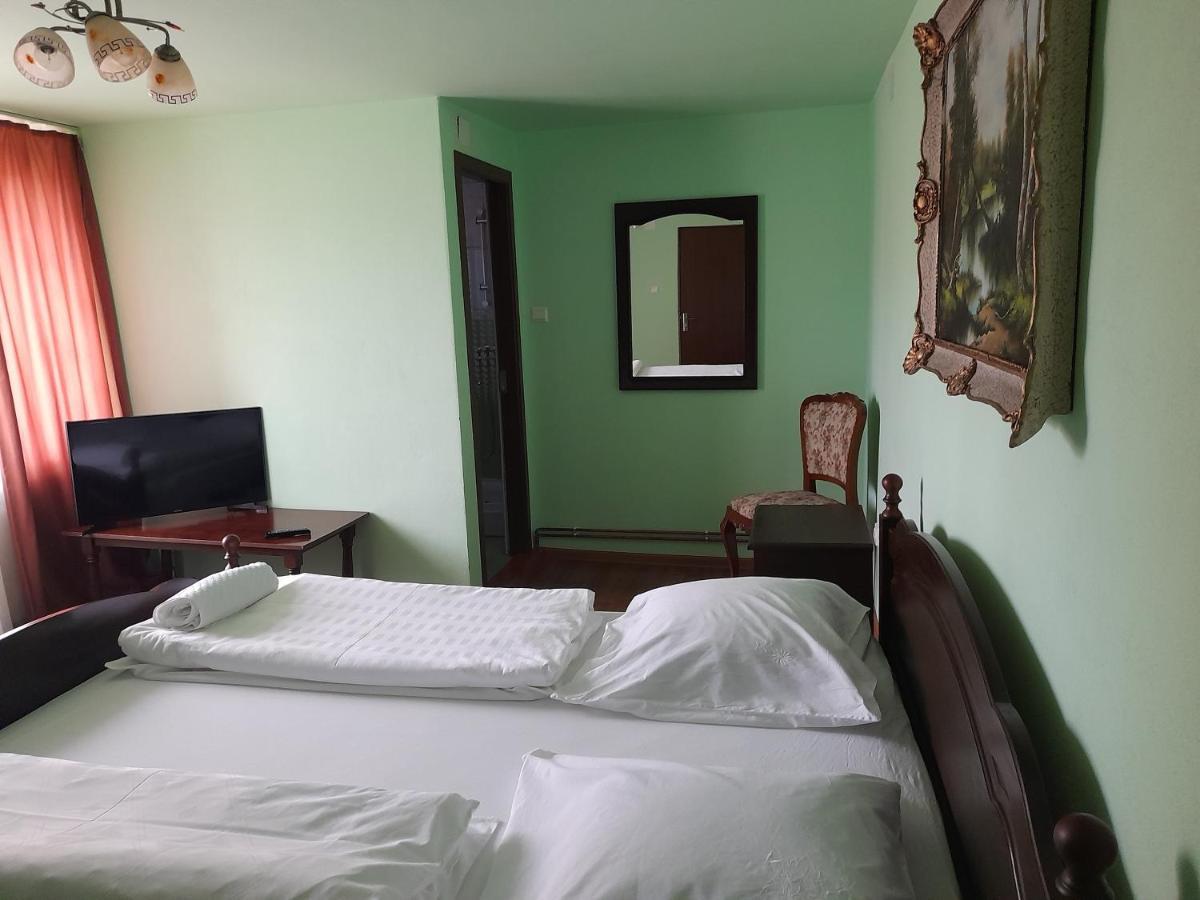 Casa Miki Hotel Haţeg Buitenkant foto