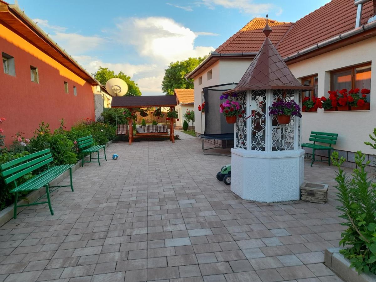 Casa Miki Hotel Haţeg Buitenkant foto