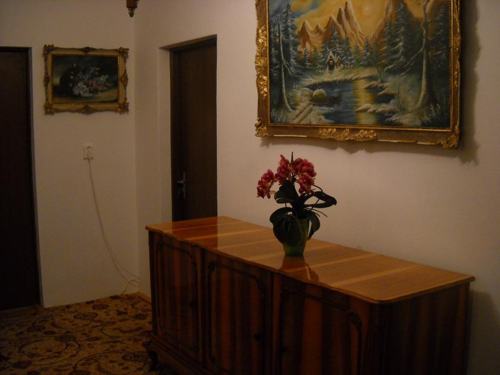 Casa Miki Hotel Haţeg Buitenkant foto