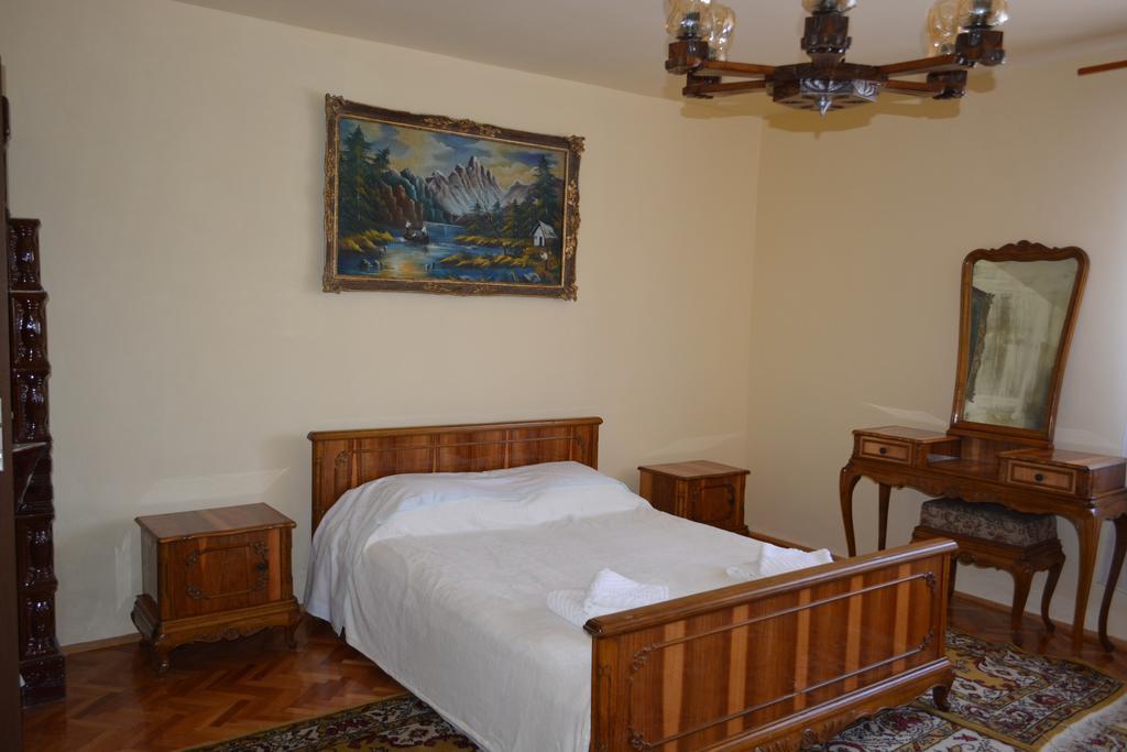 Casa Miki Hotel Haţeg Buitenkant foto