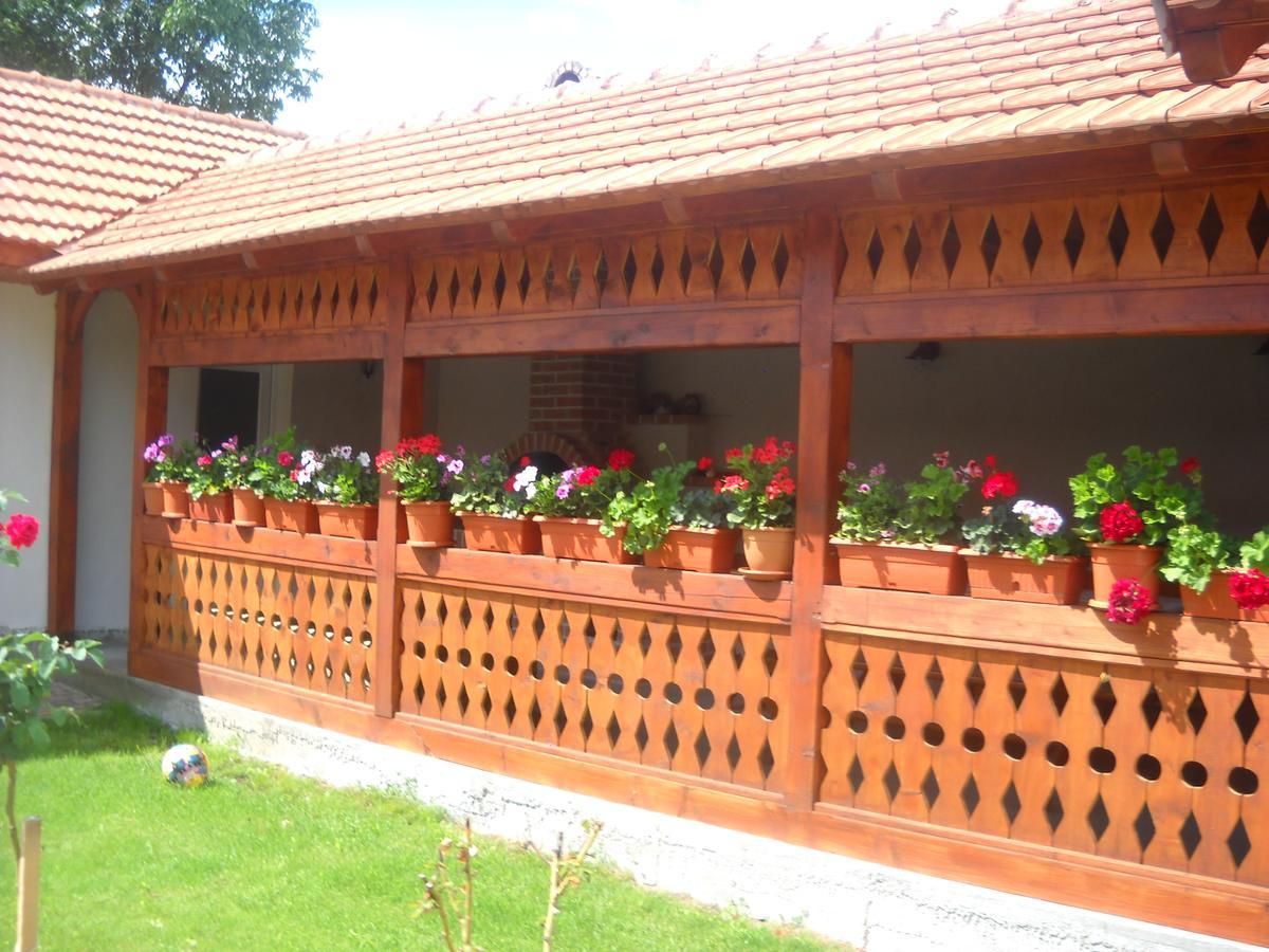 Casa Miki Hotel Haţeg Buitenkant foto